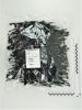 Picture of 156-00742 T50RSB5