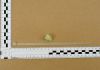 Picture of 156-00270 T50RFT10SET