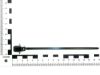 Picture of 157-00184 T50SOS3DOP65X130-E