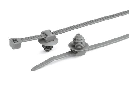 Picture of 156-00235 T50RFT8GSD